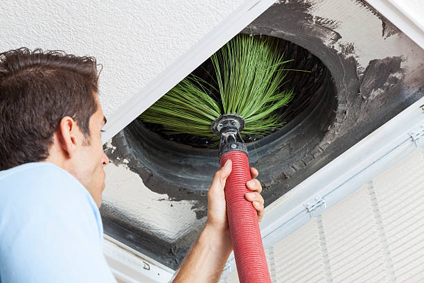 Best Dryer Vent Cleaning Services  in Wimauma, FL